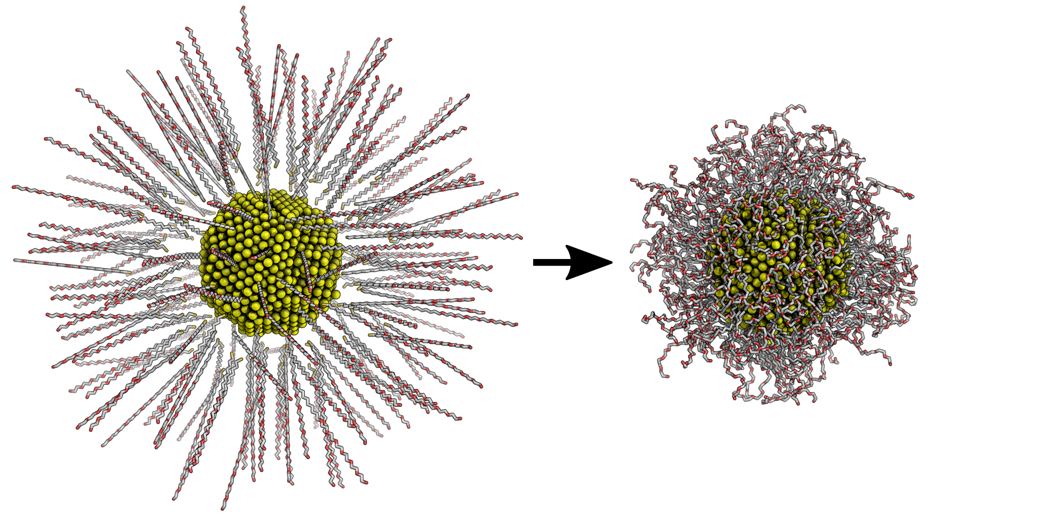 EG6 nanoparticle preparation